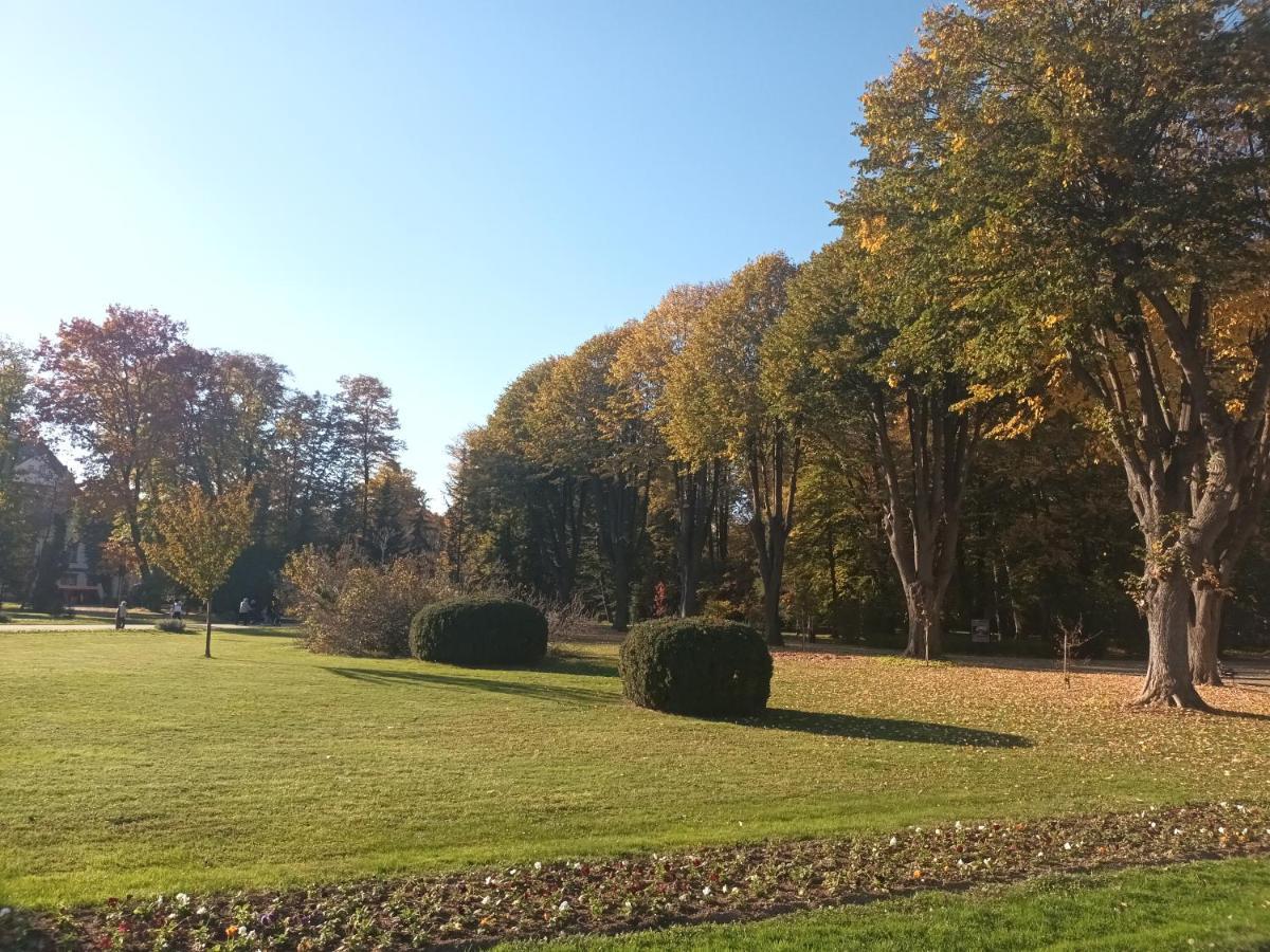 Apartman Lavanda Banja Koviljača 외부 사진